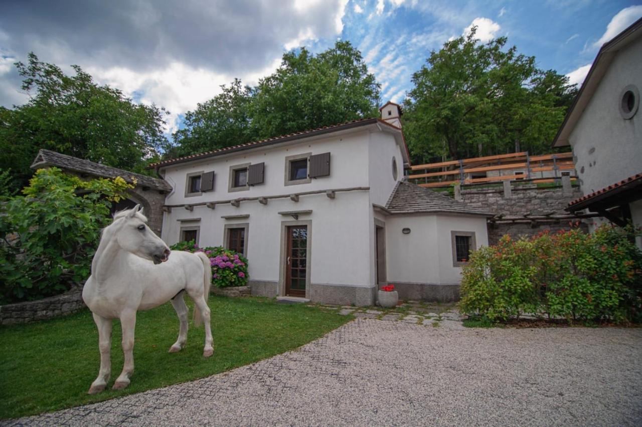 Tmbin'S Barn - Nature, Horses, Family Sežana Extérieur photo