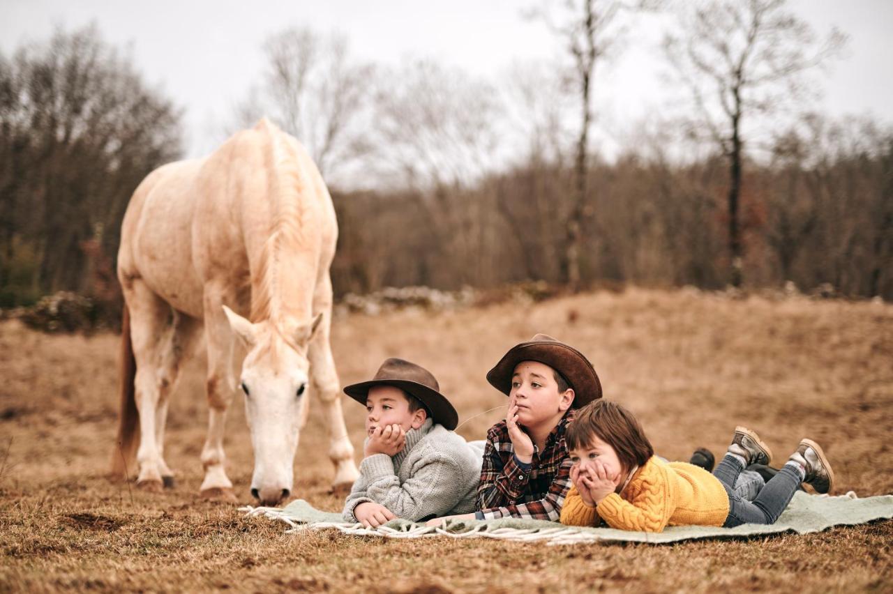 Tmbin'S Barn - Nature, Horses, Family Sežana Extérieur photo