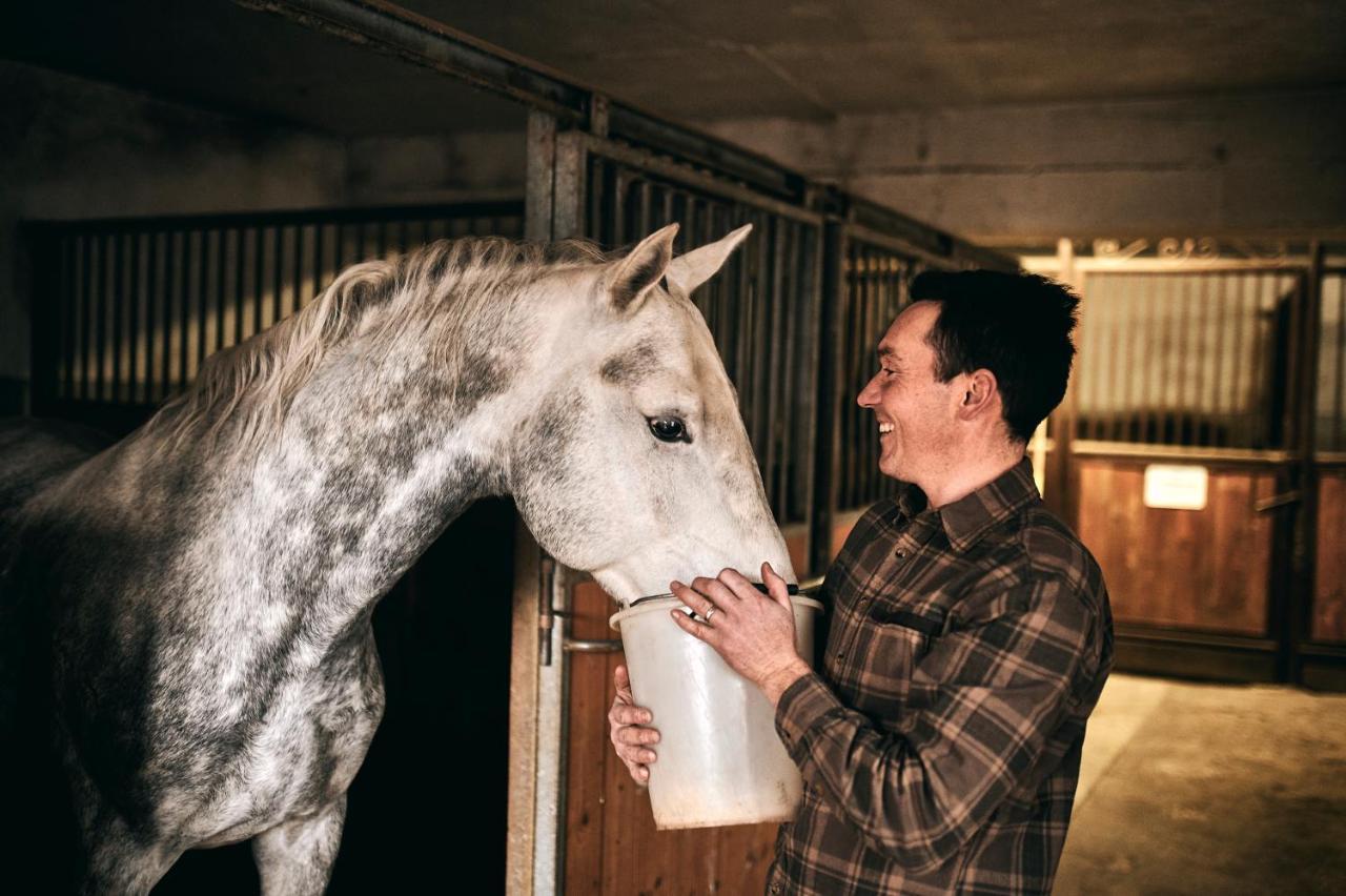 Tmbin'S Barn - Nature, Horses, Family Sežana Extérieur photo