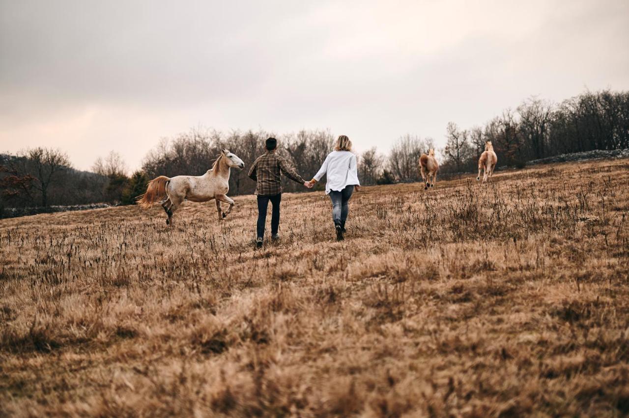 Tmbin'S Barn - Nature, Horses, Family Sežana Extérieur photo
