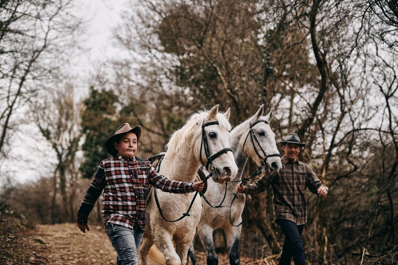 Tmbin'S Barn - Nature, Horses, Family Sežana Extérieur photo